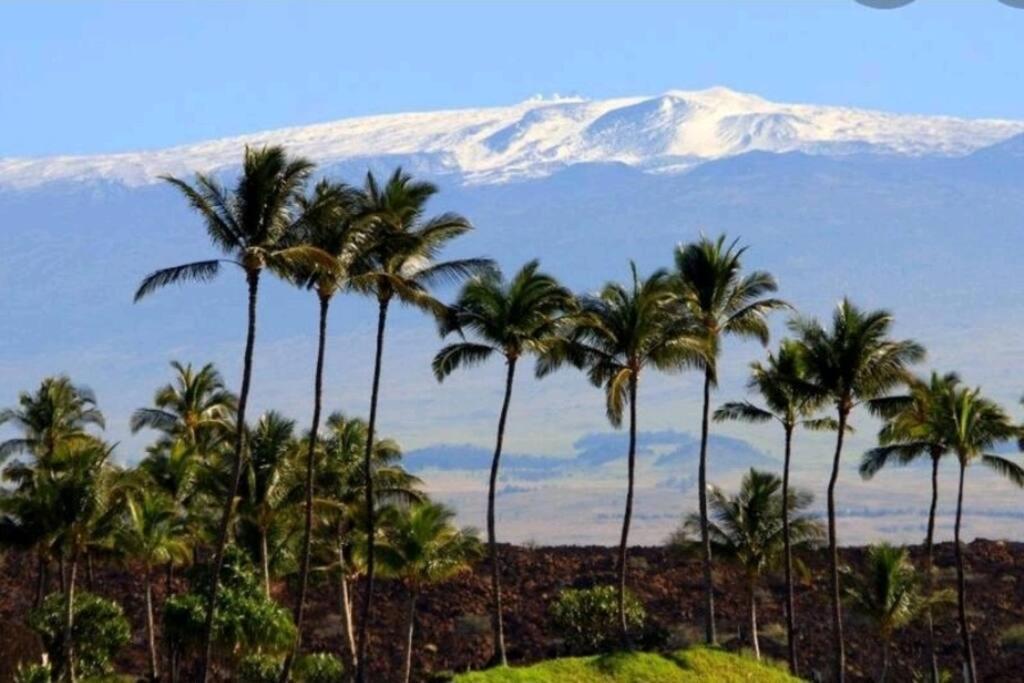 Kilauea Iki- Hale Kumu La'Au Apartment Volcano Exterior photo
