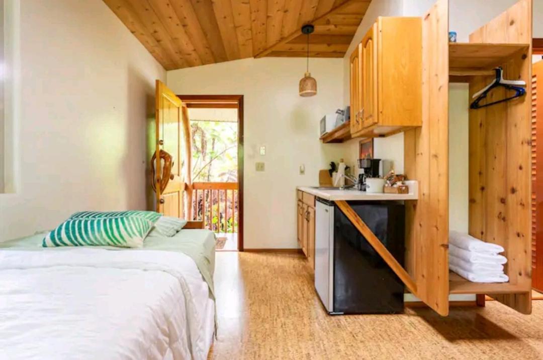 Kilauea Iki- Hale Kumu La'Au Apartment Volcano Exterior photo